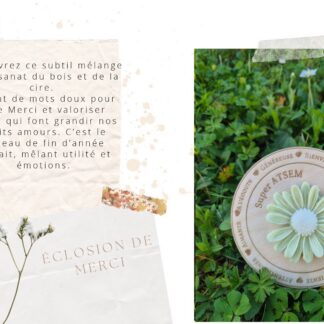 Eclosion De Merci Bougie Atsem (Ilite)