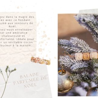 Enveloppe En Bois (Creer Veritable)