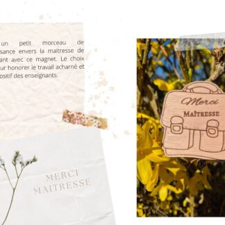 Merci Maitresse Cadeau Scolaire (Impact Positif)