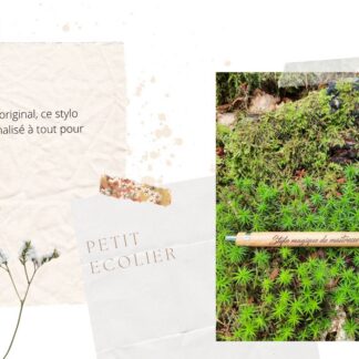Petit Ecolier Stylo Bois (Plaire)